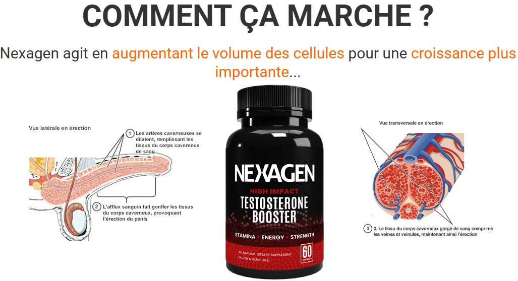 Nexagen France